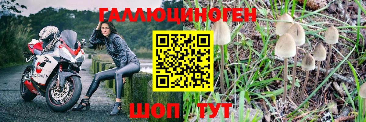 Галлюциногенные грибы Magic Shrooms  Галлюциногенные грибы Magic Shrooms  Аша  Вход с VPN 