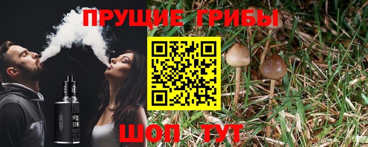 Псилоцибиновые грибы мицелий Аша