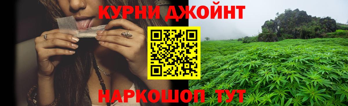 Канабис планчик  Канабис ГИДРОПОН  Вход с VPN  Каннабис Amnesia  Марихуана Ganja  Аша 
